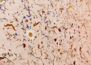 Wiesengrund Unterkunft Bio Naturmaterialien