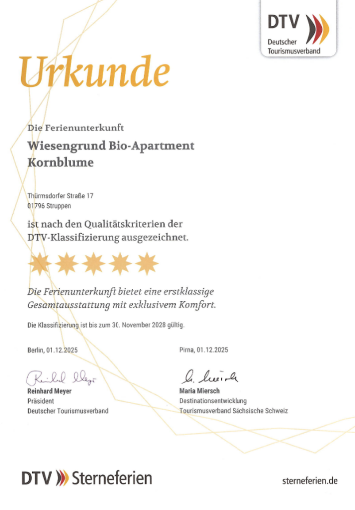 Sterne DTV Wiesengrund Kornblume