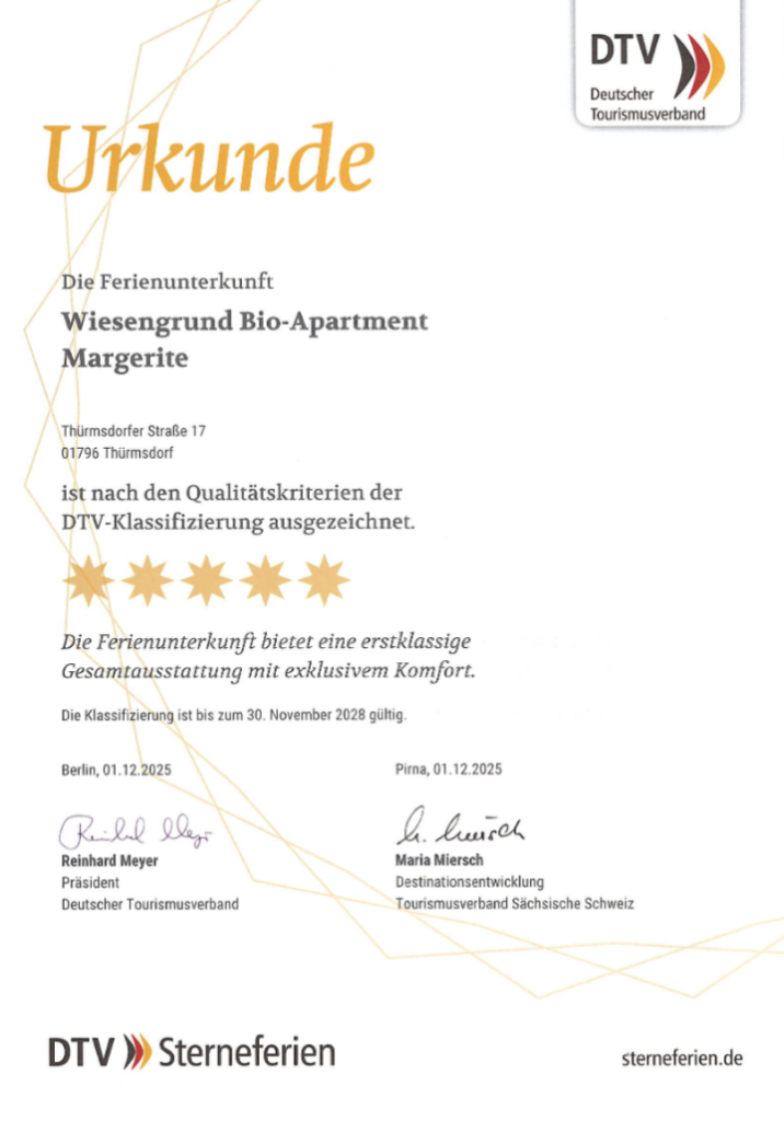 Sterne DTV Wiesengrund Margerite