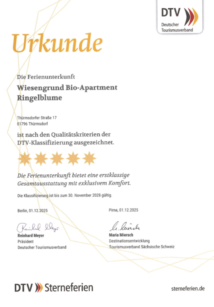 Sterne DTV Wiesengrund Ringelblume
