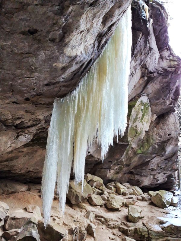 Eiszapfen Sächische Schweiz Winter Wiesengrund