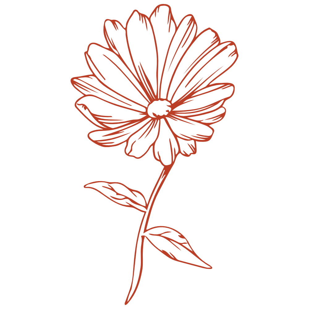 Ringelblume Apartment Wiesengrund Icon